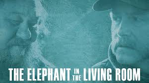 watch the elephant in the living room