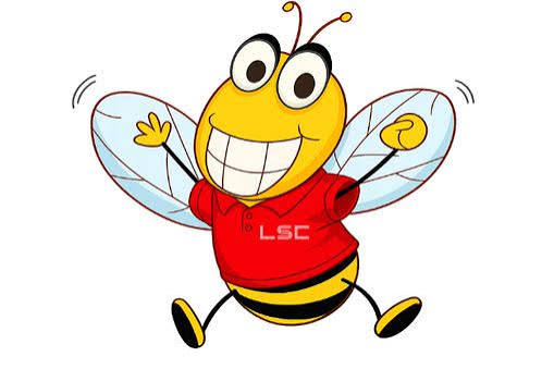 Bee Active, Part of LSC | Stoke-on-Trent