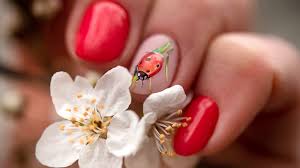 cute ladybug nails design tutorial