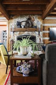 Bold Eclectic Log Cabin Living Room