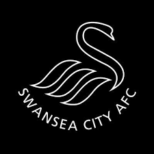 Watford stay on course for promotion as swansea lose. Swansea City Academy Academyswansea Twitter