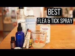 best ever natural flea and tick spray