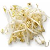 Are mung bean sprouts low-carb?