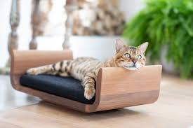 Please consider installing scrach resistant screens on all your devices. Regarding Cat Furniture What Does My Cat Need Cat S Best