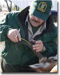 Careers Wildlife Management Alberta Ca