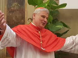 Junno Arocho Esteves on Twitter: "New Cardinal Konrad Krajewski, the papal  almoner, happily greets well-wishers at the Apostolic Palace.  https://t.co/QAfppQQK9B" / Twitter