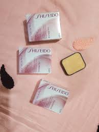 shiseido perfect smoothing compact