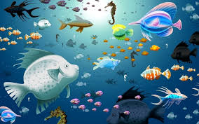 120 c reef fish background images