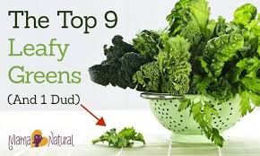 The Top 9 Leafy Greens And 1 Dud Mama Natural