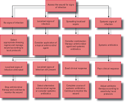 A Flowchart For The Management Of Wound Infection In Chronic