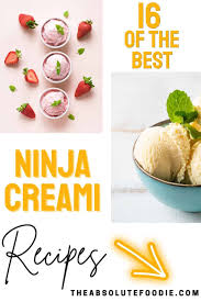 16 delicious ninja creami recipes the