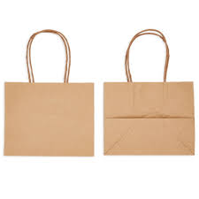 50 pack small kraft paper gift bags