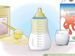 How To Transition A Baby To Cows Milk With Pictures Wikihow