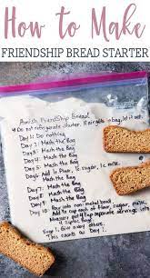 amish friendship bread starter recipe