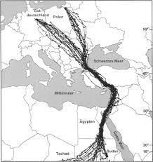 stork migration turkey map ile ilgili gÃ¶rsel sonucu