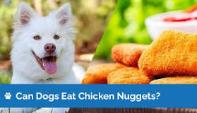 can-dogs-eat-chicken-nuggets