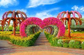 dubai miracle garden