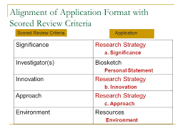 Biosketch Nih Template  example of personal statement for nih                   High res  image     KB JPG 