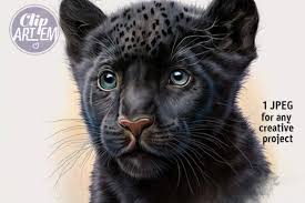 baby black panther image jpg home decor