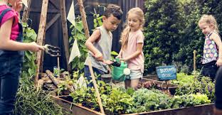 gardening curriculum