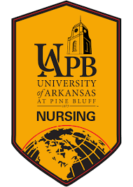 Undergraduate BSN Program   School of Nursing   University of     LPN Online Class