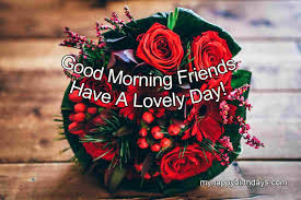 We did not find results for: 200 Beautiful Good Morning Wishes With Roses Flowers Hd