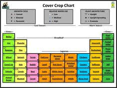 15 Best Cover Crops Images Cover Soil Improvement Corn Plant