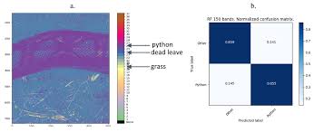 Multispectral Camera Design And Algorithms For Python Snake