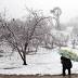 Snow in Australia: Cold front dumps record snowfall on NewSouth...