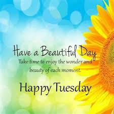 Sunbrook Academy at Bay Springs - Have a terrific Tuesday from all of us  here at Bay Springs! 🌼 | Facebook