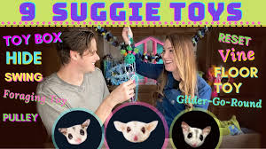 It dose answer a lot of things you should know about gliders before you. 9 Toys Every Sugar Glider Needs What The Different Types Of Toys Are Called Youtube