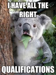 I have all the right qualifications - koala bear - quickmeme via Relatably.com