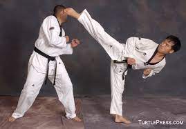 Also, all can be performed by the front or rear leg in a given stance. Analysis Of Taekwondo S Spinning Kicks Turtle Press