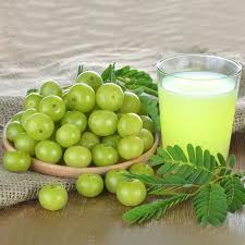 using amla for hair top 10 benefits