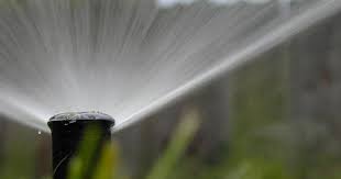 Your Complete Lawn Watering Guide For