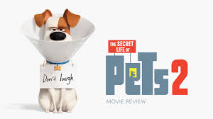 The same principle applies to all of you who see the secret life of pets, an animated fluffball that does everything to drive you crazy and ends up by being chaos ensues. The Secret Life Of Pets 2 Film Review More Pets More Adventures