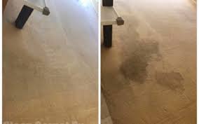 carpet cleaning upholstery cleaning