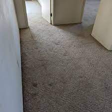 carpet cleaning in east lansing mi