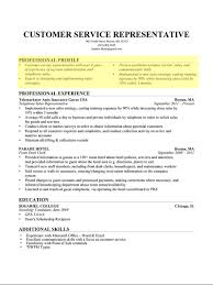 Resume Profile Statements   Free Resume Example And Writing Download