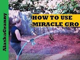 How To Use Miracle Gro