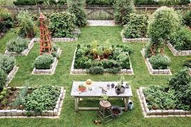 Kitchen Garden