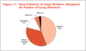 In 2013, racial or ethnic minorities comprised 27 percent of local police officers, the bureau of justice statistics(bjs) reported thursday morning. Survey Results Gang Member Demographics Race Ethnicity