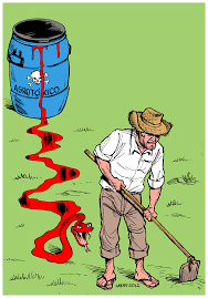 Resultado de imagem para campo agronegócio imagens