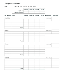 Receiving Log Template Excel Daily Food Example Intake