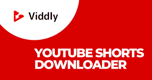 Viddly YouTube Downloader gambar png