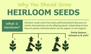 why you should grow heirloom seeds
