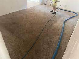 residential cleaning pristine carpet