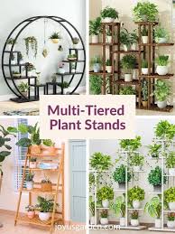 Multi Tier Plant Stands To