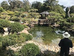 Hayward S Japanese Gardens The Best