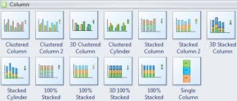 Column Chart Software